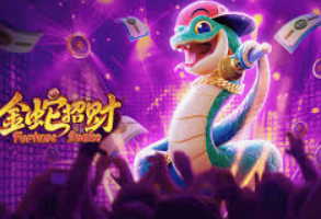 595cc开元官网版最新版