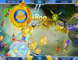 595cc开元官网版2024最新版