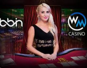 595cc开元官网版电脑免费版